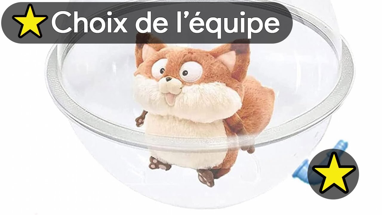 Le kit de préparation pour ballon de match | Sporting Goods