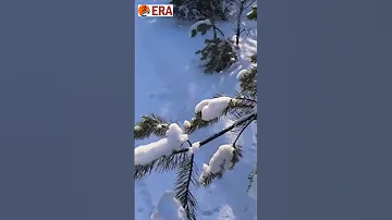 Бег и аллергия #shorts