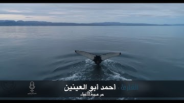 القارئ : أحمد أبو العينين ... ( وذا النون إذ ذهب مغاضبآ فظن أن لن نقدر عليه )🆕