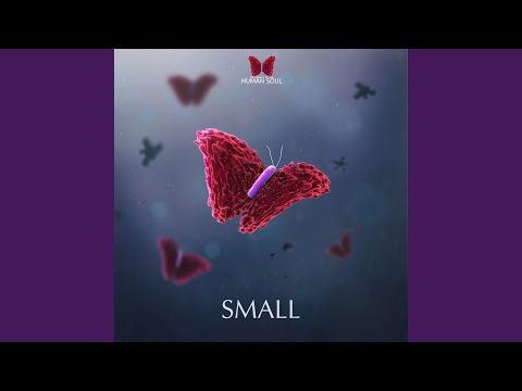 Watch Tiny (Cinematic) on YouTube Watch Tiny (Cinematic) on YouTube