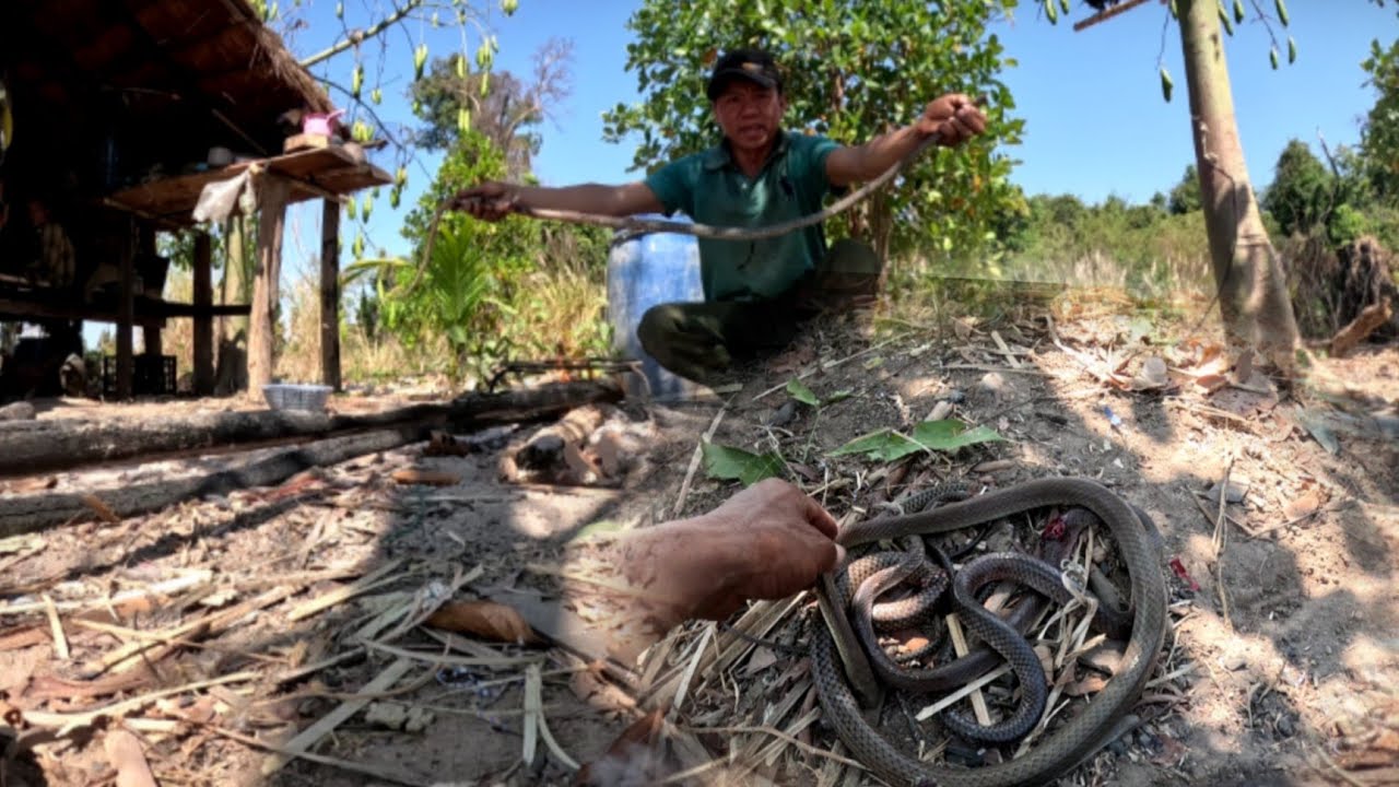 ปลาดุกใหญ่18 กุมภาพันธ์ ค.ศ. 2026