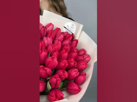 51 тюльпан Стронг Лав - YouTube
