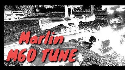Marlin Model 60 Accuracy/Precision Barrel Tune Mod Upgrade