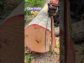 El mejor corte del mundo😱😱#woodwork #chainsaw #asmrvideo