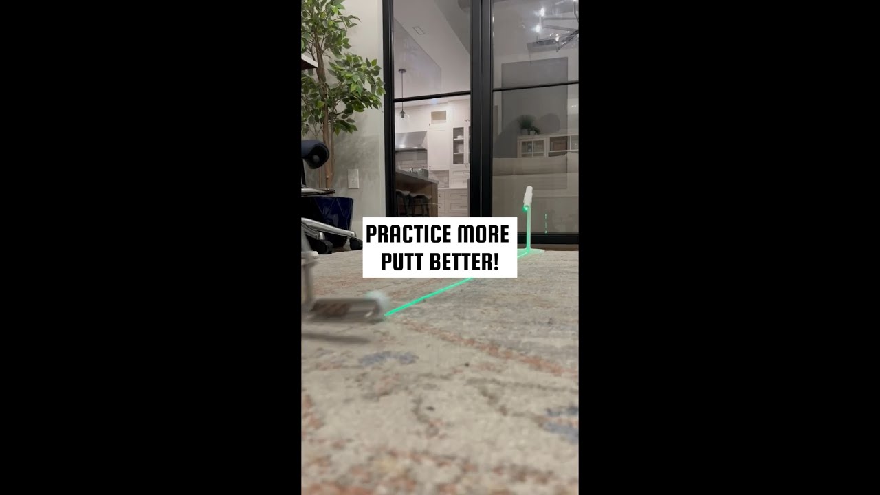 You Ordered a PUTTAIM