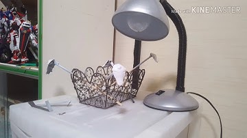 ゆっくりガンプラ、波「予告」