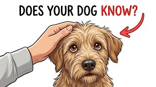 If Your Dog Does These 7 Things, He Knows You Love Him