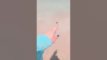 لا شتاء لا مطر بدها قعده ع بحر 