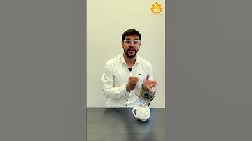 Are You An Extraverted Introvert?