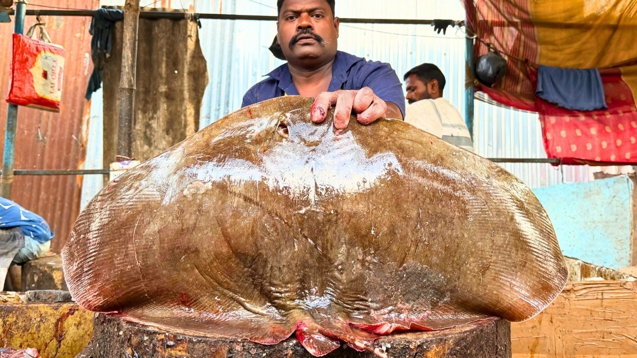 KASIMEDU SELVAM STRING RAY FISH CUTTING | UK SONS MARINE 🇮🇳