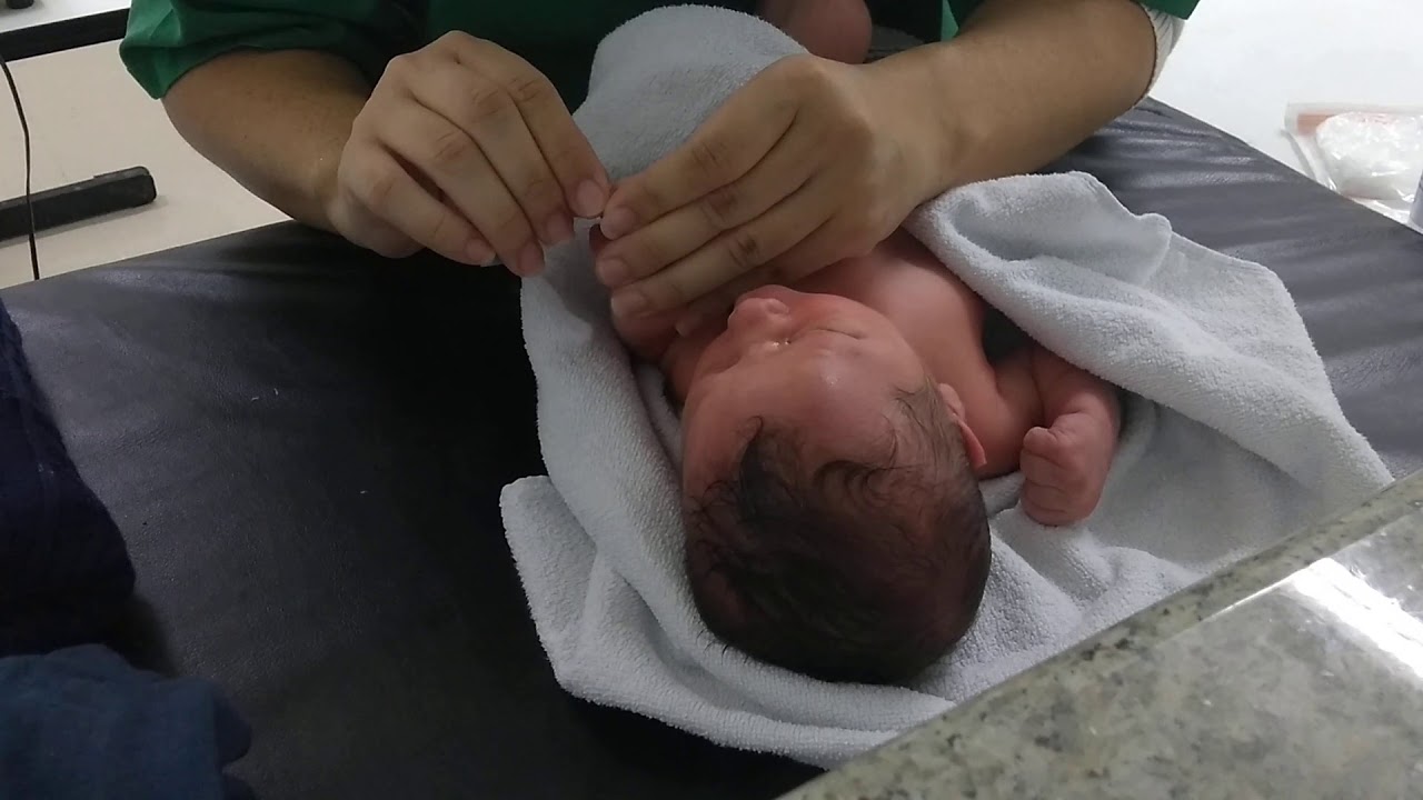 Primeiro banho do Rhavi