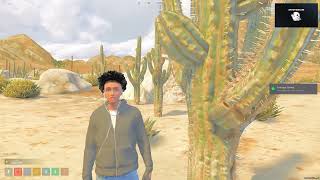 Celebrity FiveM Hitmarker Script Wealth