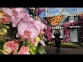 Orchids transform the New York Botanical Garden