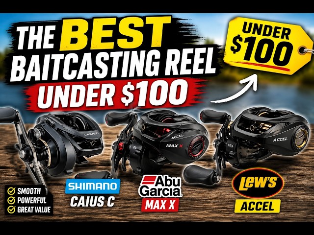 best baitcasting reel for the money 2013 13 Fishing - Modus C2 Baitcast - 6.6:1 Gear Ratio - Left Hand Retrieve (Fresh) plate that allows for rapid spool exchanges Best Baitcasting Reel Under $100