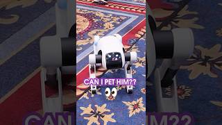 Humanoid or Doggo? You decide #ces2026 #robottech