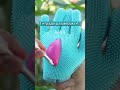 Факты про Корейские школы, которые ты не знал #Shorts