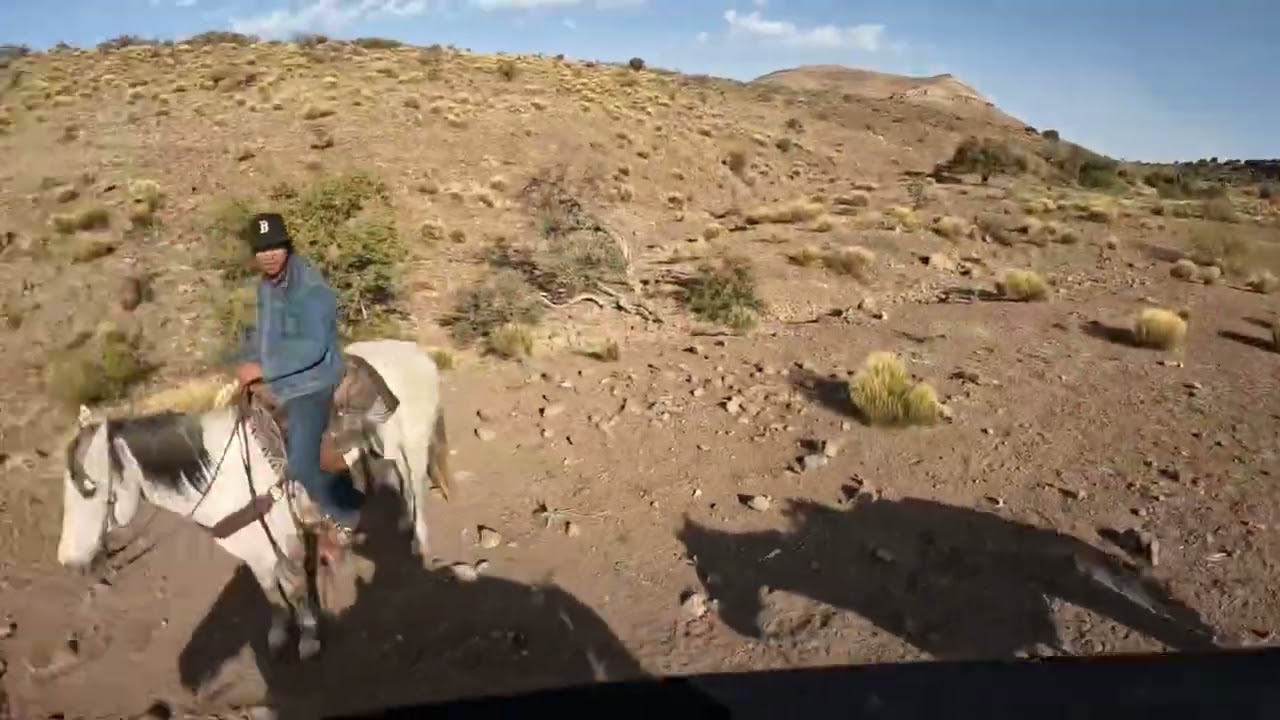 Roping mean cattle on the Rez!