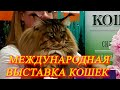 Москва. Июнь 2021 г.  ВДНХ. Международная выставка кошек.