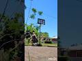 60 year old failed layup and soccer header in one play.
