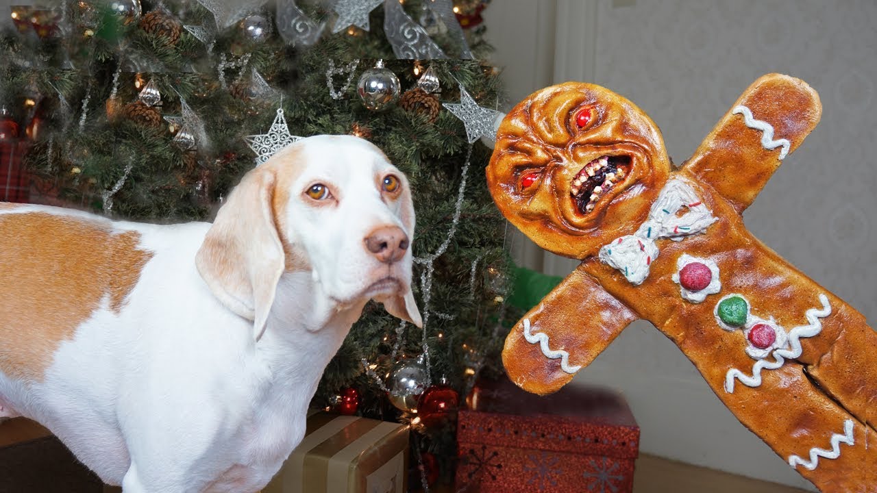 Dogs vs Evil Gingerbread Man Prank: Funny Dogs Maymo & Potpie