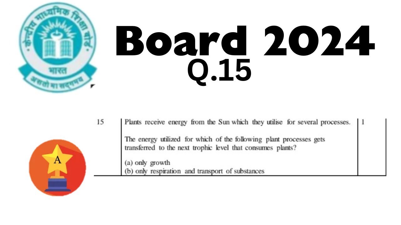 Plants receive energy from the Sun which they utilise for several