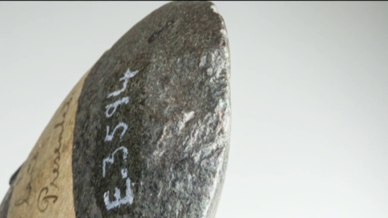 Video: World’s oldest ground-edge axe found in Australia