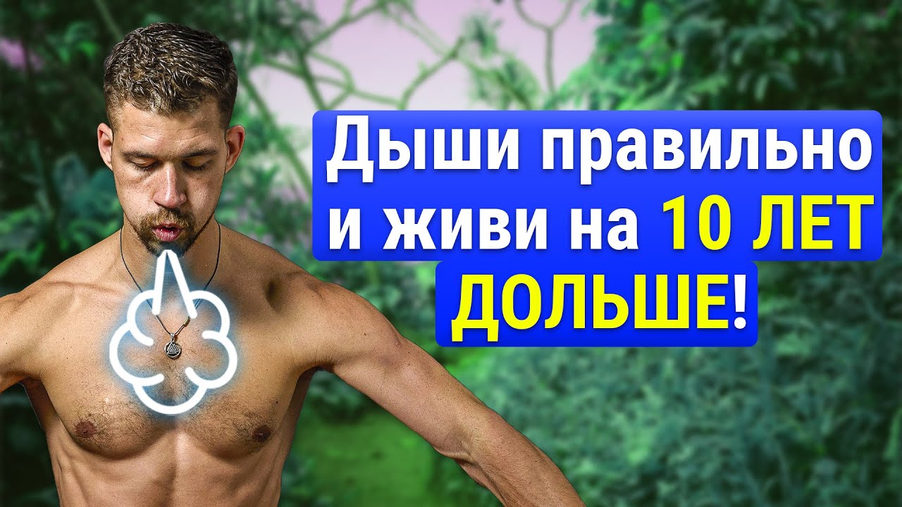 Когда должны отключаться дхо Когда должны отключаться дхо