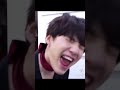 Смешные и милые моменты с BTS