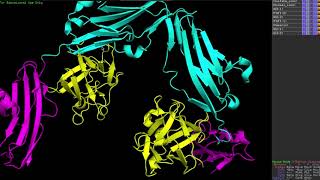 Fgfr-2 The Secondary And Tertiary Structures Of The Ig-Ii And Ig-Iii Domain