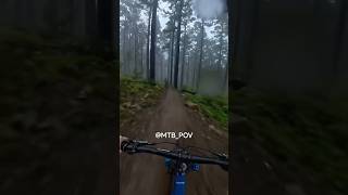 POV Downhill Through Dark Forest 😳 #mtb #mountainbike #shorts