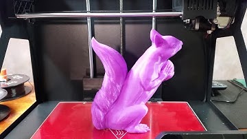 3D Printed Squizzle On the Geeetech Giantarm D200