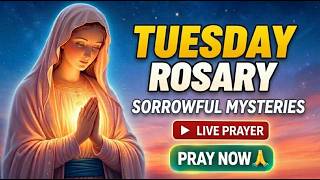 Pray the Rosary Tuesday 🙏 Sorrowful Mysteries | Join Us Live