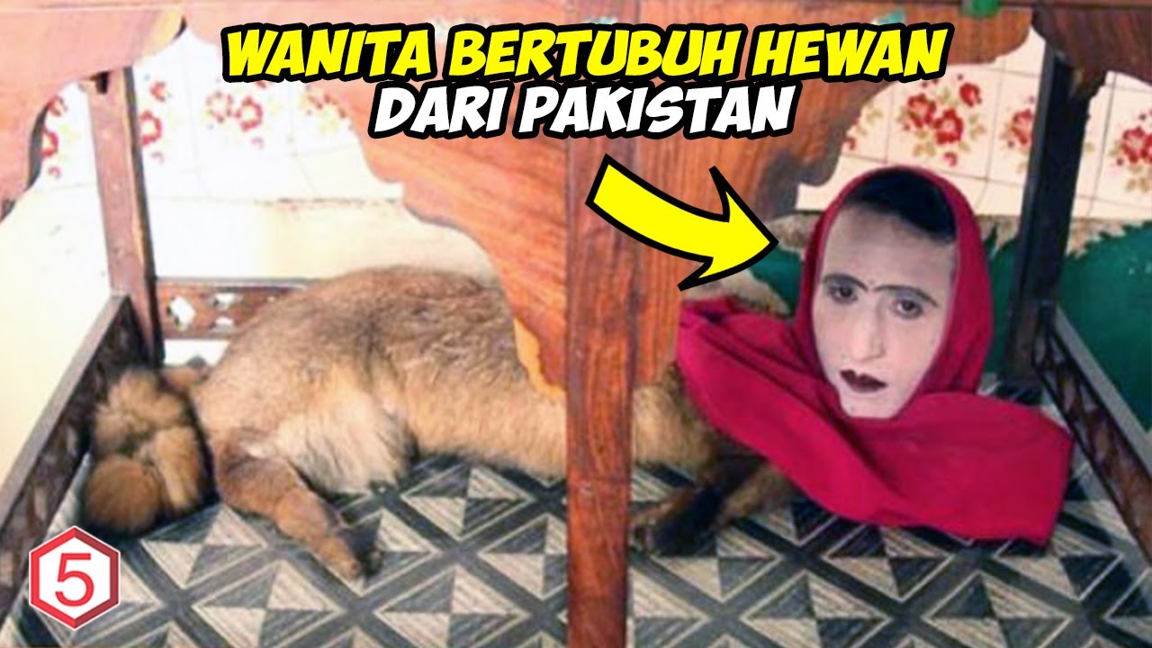 Download Wanita Berbadan Hewan Berkepala Manusia di pakistan ini ternyata adalah seorang..