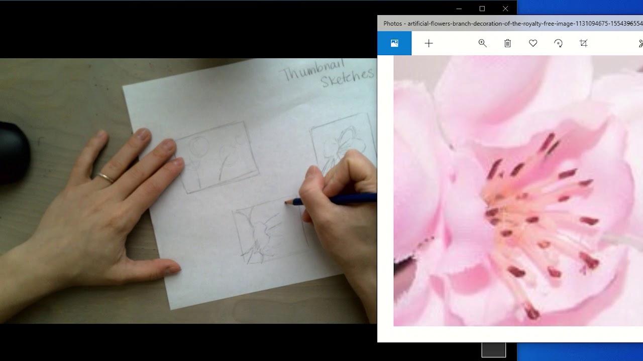 Natural Object Painting - Thumbnail Sketching