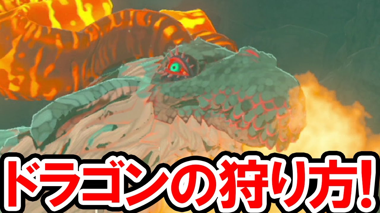 ゼルダの伝説 Botw フロドラ ネルドラ オルドラを無限ループ ドラゴンの居場所と狩り方を公開 ゼルダの伝説 ブレス オブ ザ ワイルドの攻略動画 Youtube