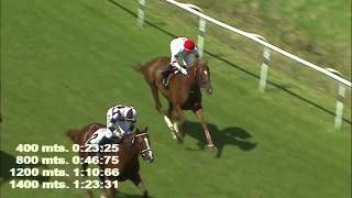 TE LACTAGOGO - San Isidro - 4/11/2027