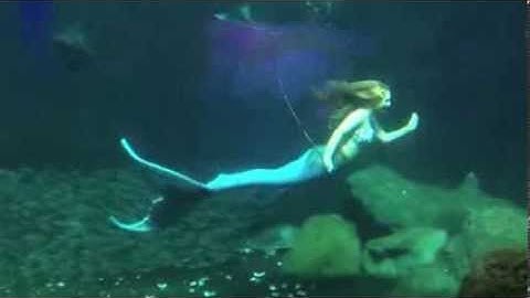 MerNation Silicone Mermaid Tail Underwater