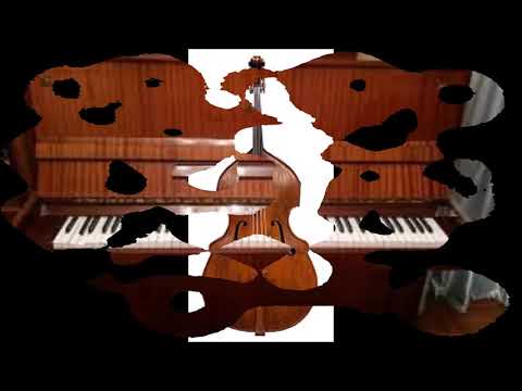 მუსიკალური საკრავები