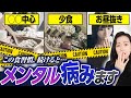 【要チェック】メンタルを乱す食習慣4つ