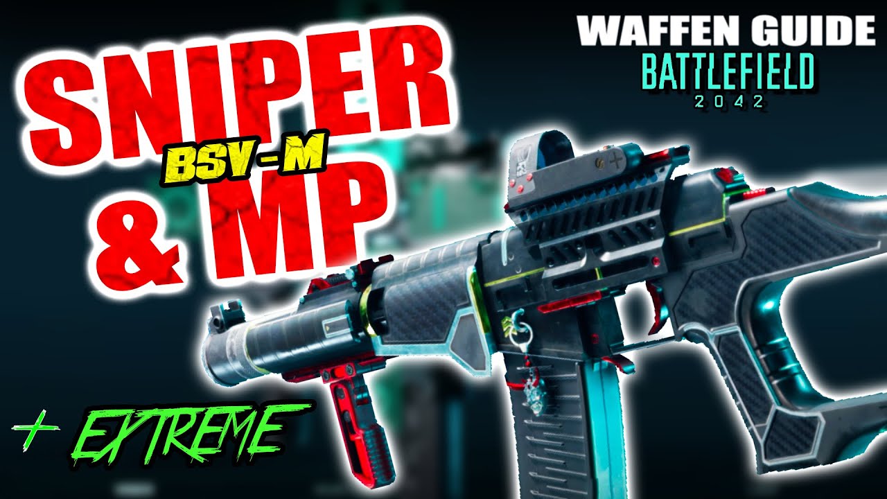 Beste Waffe! Die BSV-M als SNIPER und MP - Waffen Guide [ Aufsätze Einstellungen / Settings ]