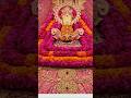jai shree shyam #shyam #shyamdarshan #shyamkripa #jaishreeshyam #shyambhajan #shyamjibhakti #shiv
