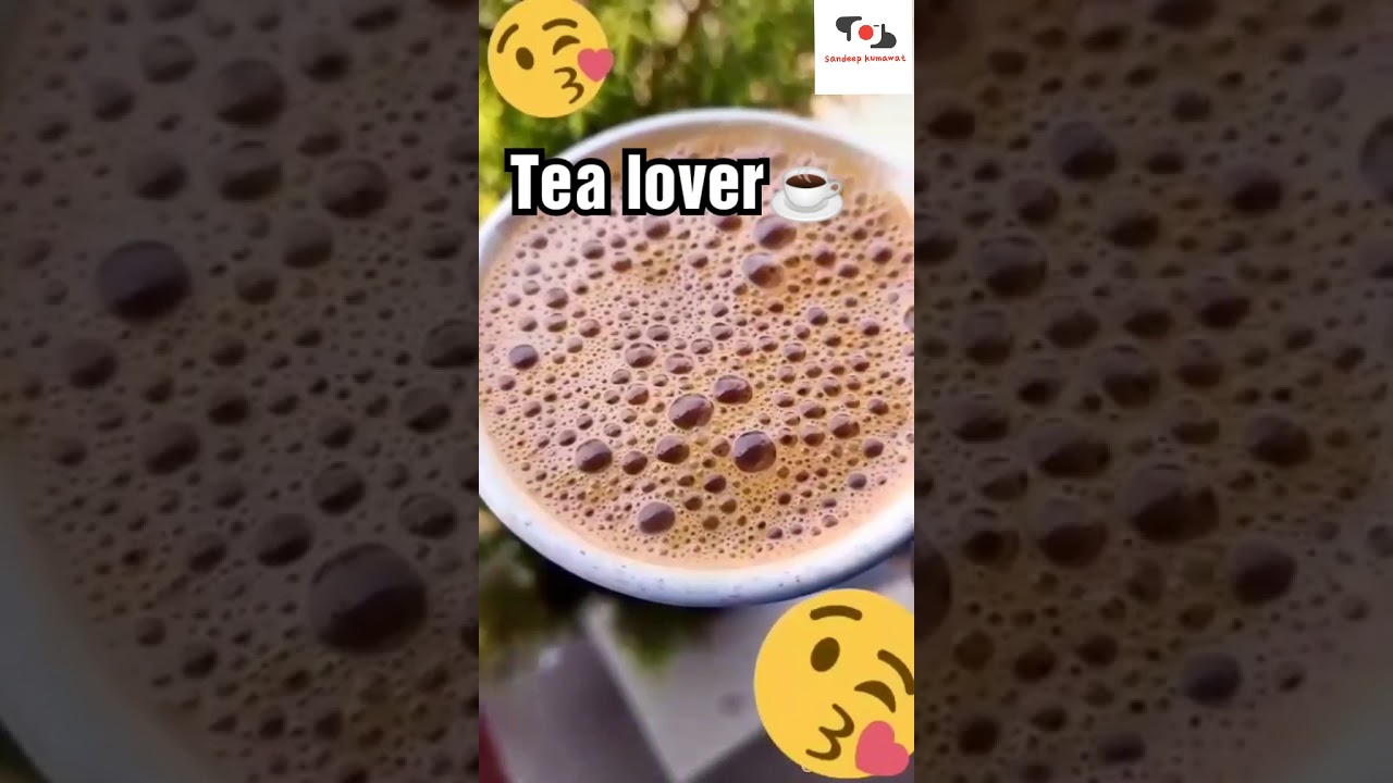 Tea Lover Status YouTube
