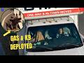 "She's Not Coming Out" — K9 & Gas Deployed After 11-Min Felony Standoff | Bodycam Analysis