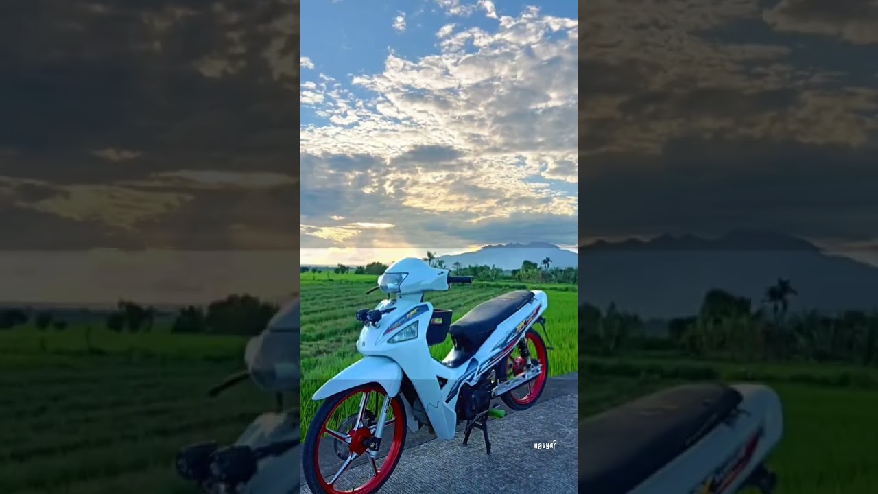 Malaysian DNA wave alpha cx 110