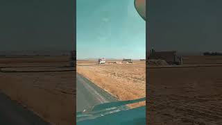 Bedel Allaha Ödenir Sizin Ki Kula Minnet.