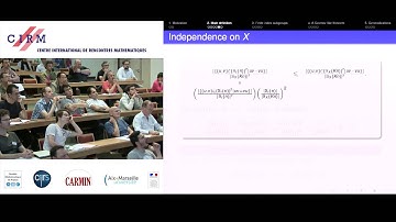 Enric Ventura: The degree of commutativity of an infinite group