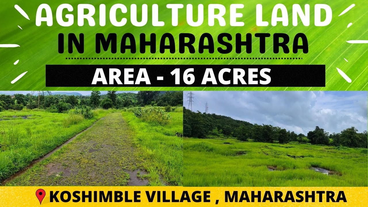 PALI 16 ACRES AGRICULTURE LAND FOR SALE BEDGAON KOLAD PUNE