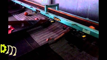 Greefa universal apple & pear grader