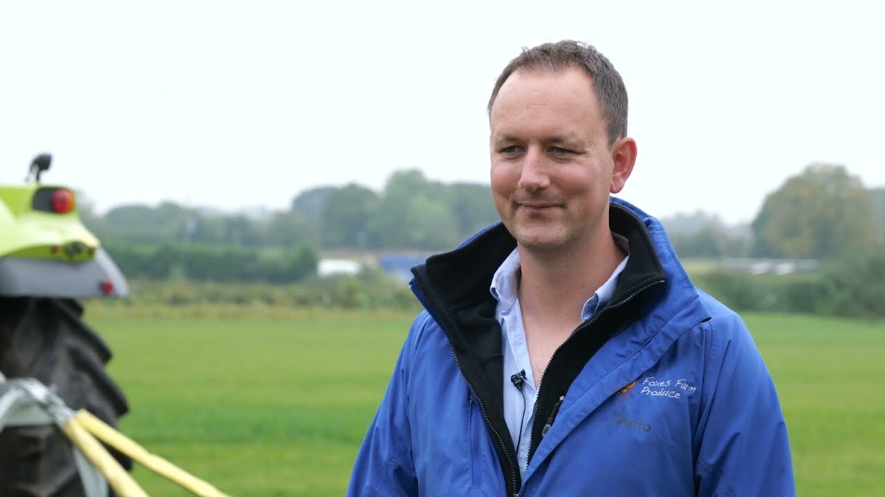 MJ71-400 Major Swift (3pl) | Foxes Farm Produce, Essex