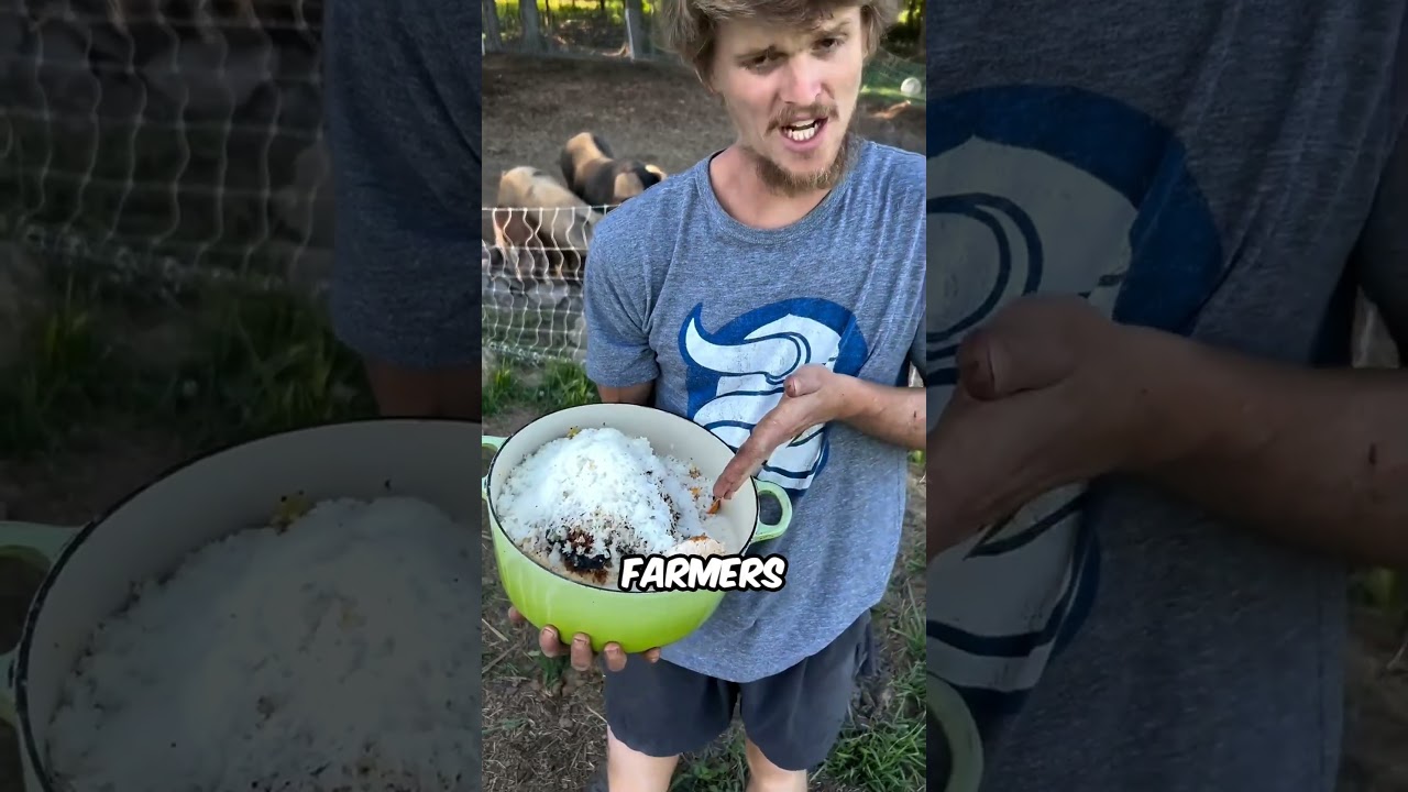 5 WEIRD Things Humans Actually Feed to Animals! #Animal… — Transcript